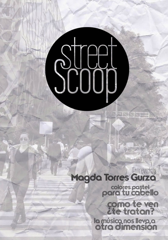 street scoop